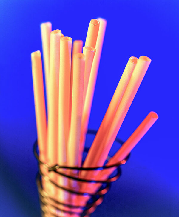 ZITI - S0102698