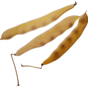 PIATTONI - S0102849