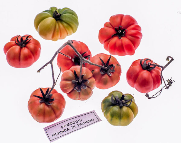 POMODORI DI PACHINO - S0102865
