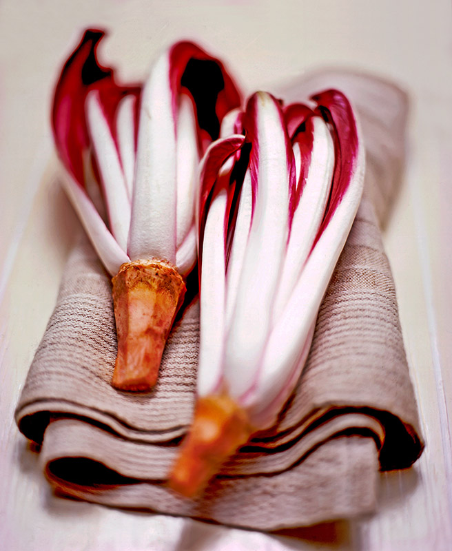 RADICCHIO TARDIVO DI TREVISO - S01031064 - immagine 1