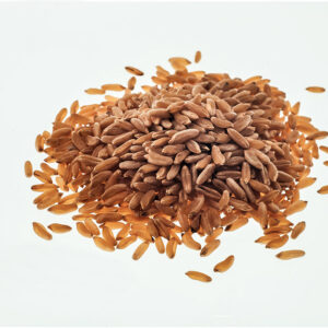 GRANO KAMUT - S01031687