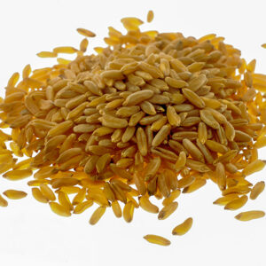 GRANO KAMUT - S01031688