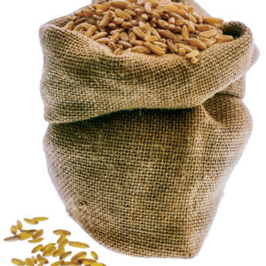 GRANO KAMUT - S01031689