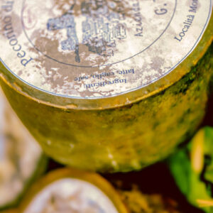 PECORINO DI OSILO - S01032400