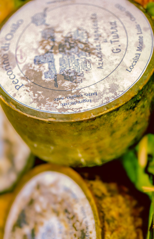 PECORINO DI OSILO - S01032400