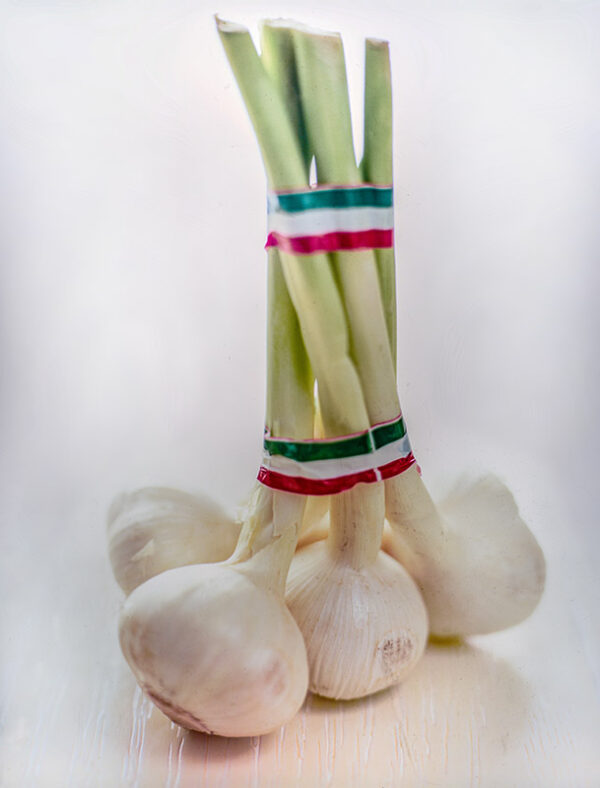 AGLIO - S01011500