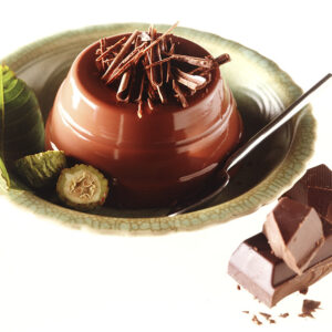 BUDINO AL CIOCCOLATO - 9401