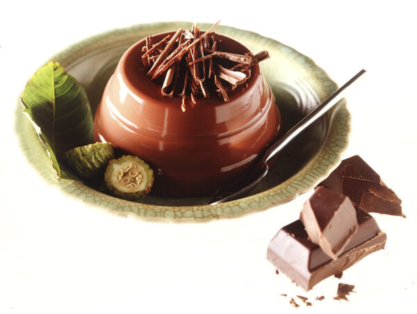BUDINO AL CIOCCOLATO - 9401