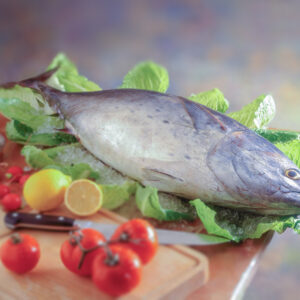 STILL LIFE TONNO - S55940 - 126