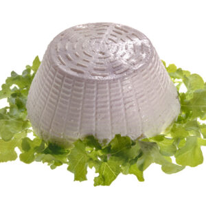 STILL LIFE PUINA - S2301 - 130