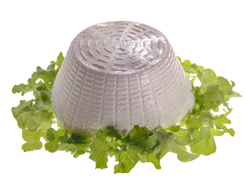 STILL LIFE PUINA - S2301 - 130 - immagine 1