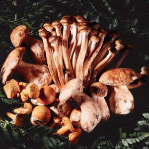 VARIETÀ DI FUNGHI - 9437