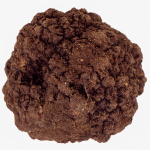 TARTUFO NERO DI NORCIA - S0102722