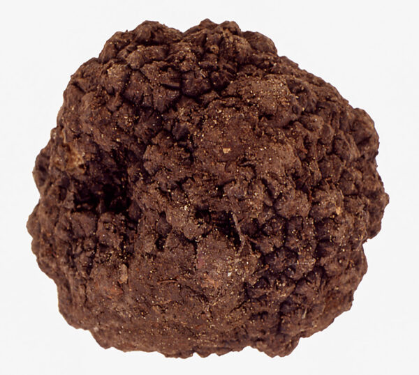 TARTUFO NERO DI NORCIA - S0102722