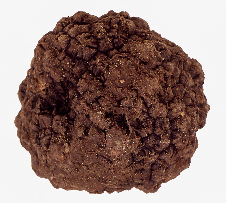 TARTUFO NERO DI NORCIA - S0102722 - immagine 1