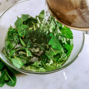 GELATINA DI MELE ALLA MENTA (STEP 1) - S0602