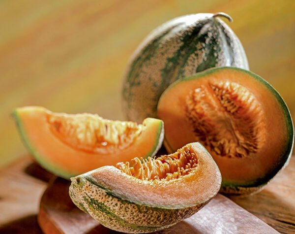 MELONE - S079803