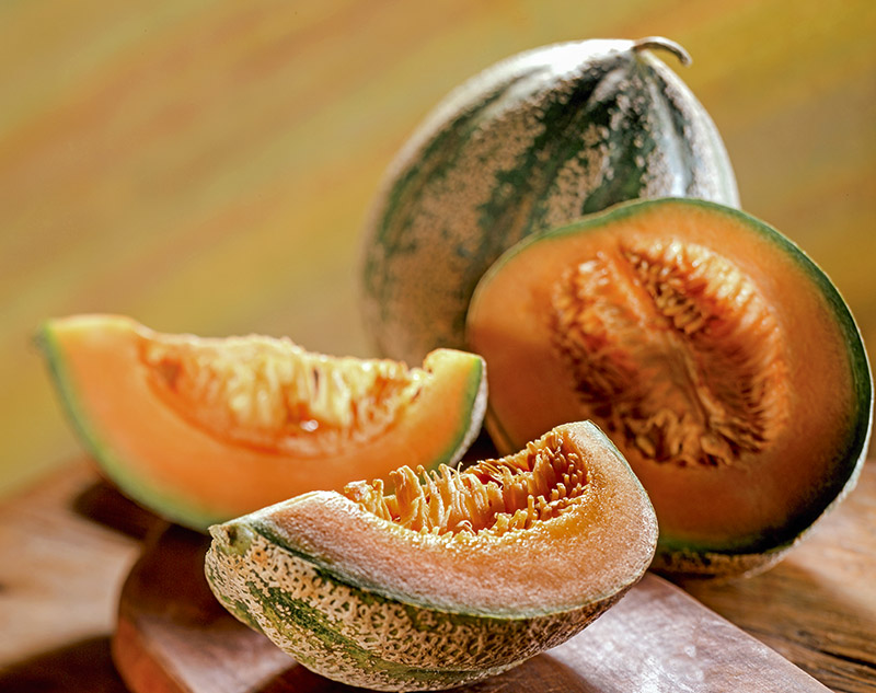 MELONE - S079803 - immagine 1