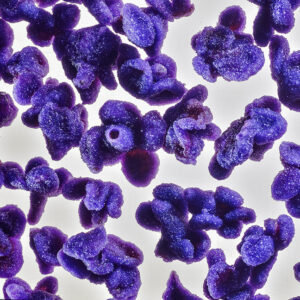 VIOLETTE CANDITE - S100910 - 4550