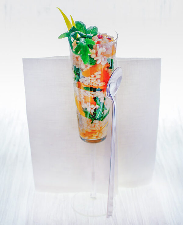 INSALATA DI ORZO AL SALMONE - S1305003